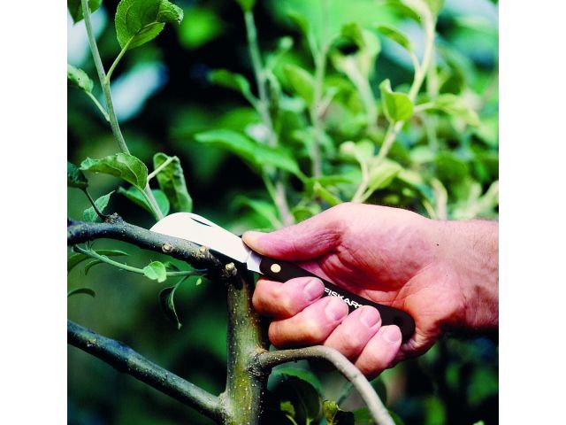 Image 7 Нож садовый изогнутый для прививок FISKARS