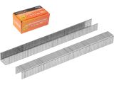 Скобы тип 20GA 10мм (5000шт) STARTUL PROFI (ST4530-10)