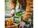 Watch image 9 Совок Xact FISKARS