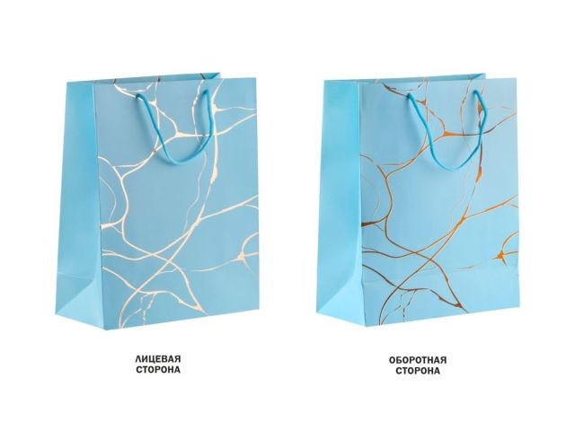 Image 3 Пакет подарочный с ручками, 32х26х12 см., голубой, серия Amelia, PERFECTO LINEA