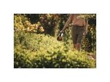Watch image 8 Разбрасыватель Solid FISKARS