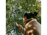 Watch image 4 Черенок алюминиевый телескопический L 220-400см OneClick FISKARS