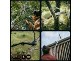 Watch image 5 Черенок алюминиевый телескопический L 220-400см OneClick FISKARS