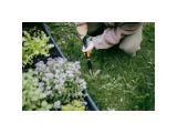 Watch image 5 Корнеудалитель OneClick FISKARS