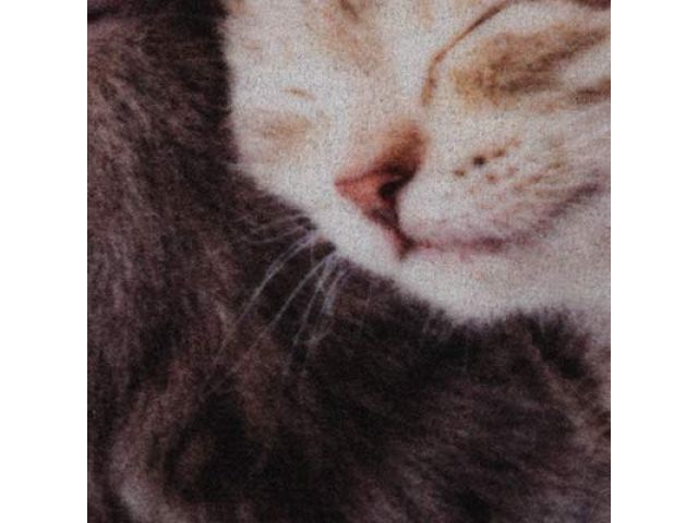 Image 4 Коврик влаговпитывающий "Samba" 50*80 см. "Милота", котята, "VORTEX"