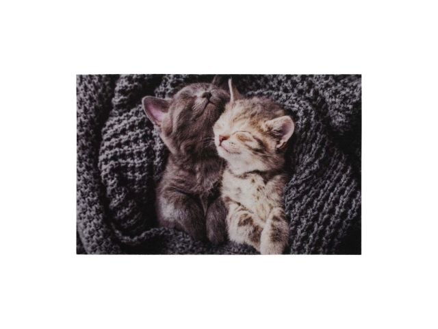 Image 1 Коврик влаговпитывающий "Samba" 50*80 см. "Милота", котята, "VORTEX"