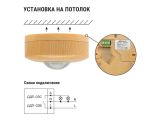 Watch image 4 Датчик движения потолочный ДДП-03С (1200Вт, 10-900с, 6м , 3+Лк) "ЭКО" сосна TDM