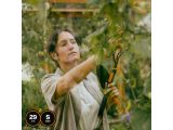 Watch image 12 Рукоятка малая алюминиевая S 29см OneClick FISKARS