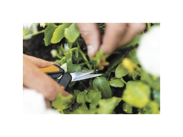 Image 11 Ножницы для цветов SP13 FISKARS