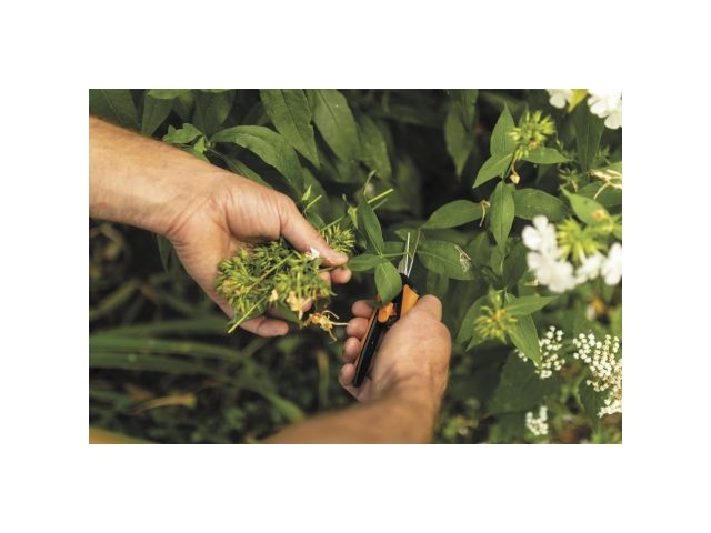 Image 12 Ножницы для цветов SP13 FISKARS