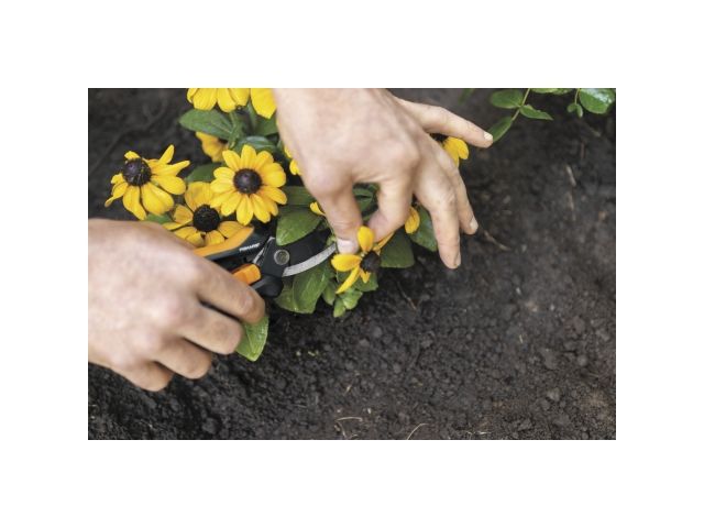 Image 10 Ножницы для маленьких растений SP14 FISKARS